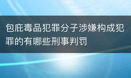 包庇毒品犯罪分子涉嫌构成犯罪的有哪些刑事判罚