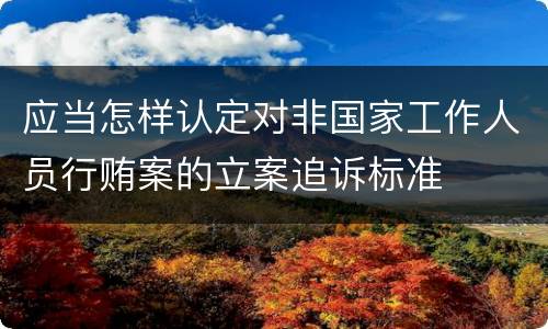 应当怎样认定对非国家工作人员行贿案的立案追诉标准