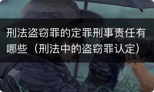刑法盗窃罪的定罪刑事责任有哪些（刑法中的盗窃罪认定）