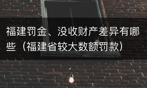 福建罚金、没收财产差异有哪些（福建省较大数额罚款）