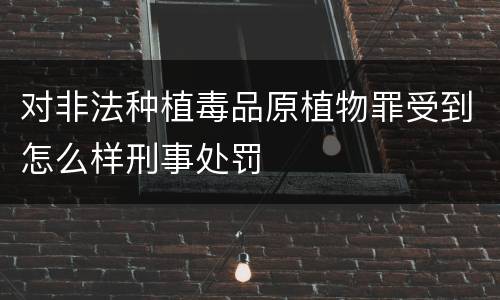 对非法种植毒品原植物罪受到怎么样刑事处罚