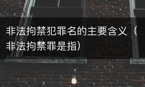 非法拘禁犯罪名的主要含义（非法拘禁罪是指）