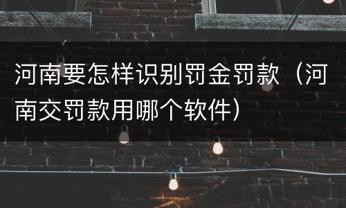 河南要怎样识别罚金罚款（河南交罚款用哪个软件）