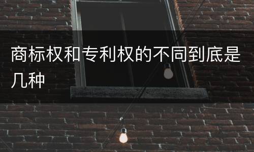 商标权和专利权的不同到底是几种