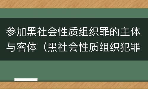 参加黑社会性质组织罪的主体与客体（黑社会性质组织犯罪一般参与者）