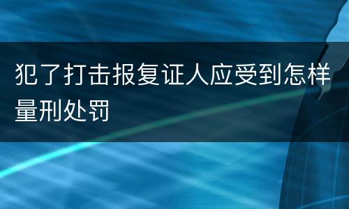 犯了打击报复证人应受到怎样量刑处罚