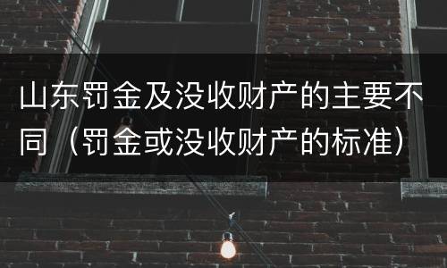 山东罚金及没收财产的主要不同(罚金或没收财产的标准)