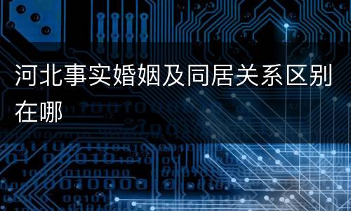 河北事实婚姻及同居关系区别在哪
