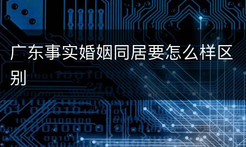 广东事实婚姻同居要怎么样区别