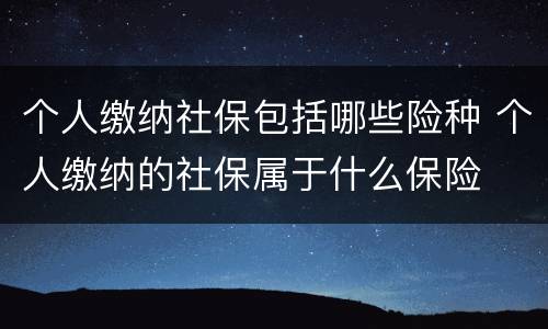 个人缴纳社保包括哪些险种 个人缴纳的社保属于什么保险