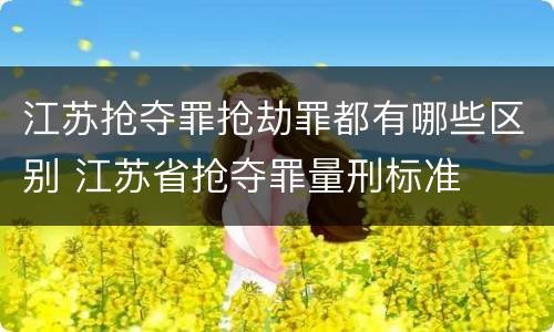 江苏抢夺罪抢劫罪都有哪些区别 江苏省抢夺罪量刑标准
