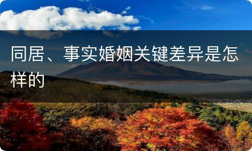 同居、事实婚姻关键差异是怎样的