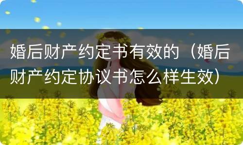 婚后财产约定书有效的（婚后财产约定协议书怎么样生效）
