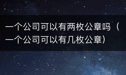 一个公司可以有两枚公章吗（一个公司可以有几枚公章）