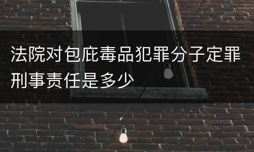 法院对包庇毒品犯罪分子定罪刑事责任是多少