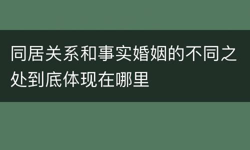 同居关系和事实婚姻的不同之处到底体现在哪里