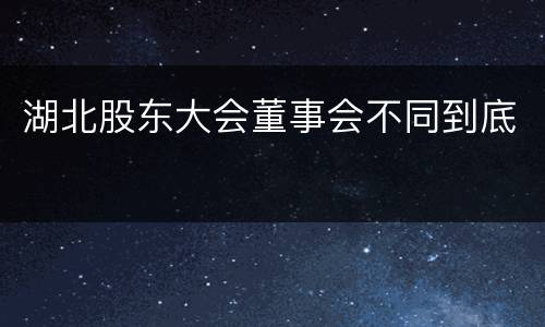湖北股东大会董事会不同到底