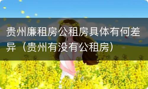 贵州廉租房公租房具体有何差异（贵州有没有公租房）