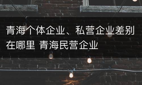 青海个体企业、私营企业差别在哪里 青海民营企业