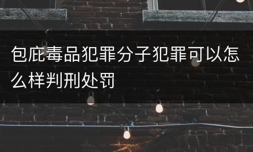 包庇毒品犯罪分子犯罪可以怎么样判刑处罚