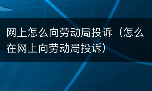 网上怎么向劳动局投诉（怎么在网上向劳动局投诉）