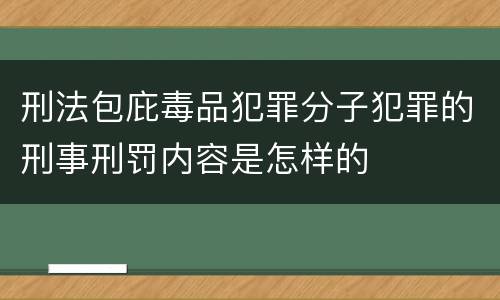 刑法包庇毒品犯罪分子犯罪的刑事刑罚内容是怎样的