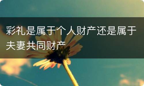 彩礼是属于个人财产还是属于夫妻共同财产