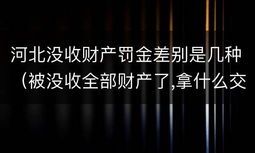 河北没收财产罚金差别是几种(被没收全部财产了,拿什么交罚金)