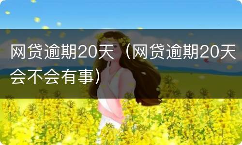 网贷逾期20天（网贷逾期20天会不会有事）