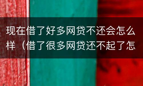 现在借了好多网贷不还会怎么样（借了很多网贷还不起了怎么办）
