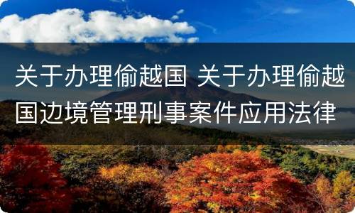 关于办理偷越国 关于办理偷越国边境管理刑事案件应用法律