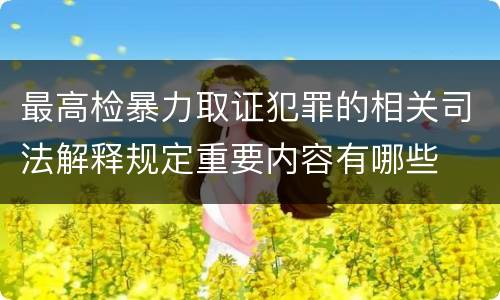 最高检暴力取证犯罪的相关司法解释规定重要内容有哪些
