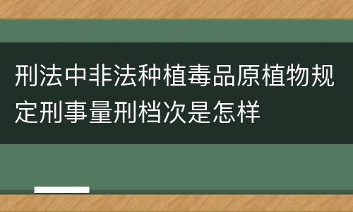 刑法中非法种植毒品原植物规定刑事量刑档次是怎样