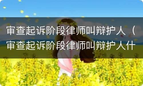 审查起诉阶段律师叫辩护人（审查起诉阶段律师叫辩护人什么意思）