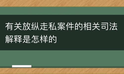 有关放纵走私案件的相关司法解释是怎样的