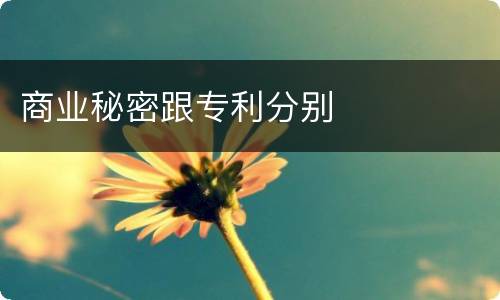 商业秘密跟专利分别