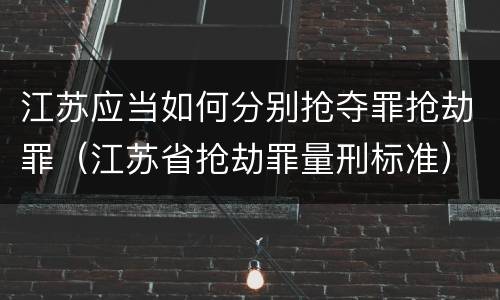 江苏应当如何分别抢夺罪抢劫罪（江苏省抢劫罪量刑标准）