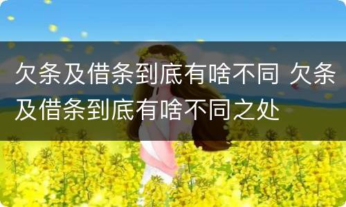 欠条及借条到底有啥不同 欠条及借条到底有啥不同之处