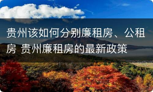 贵州该如何分别廉租房、公租房 贵州廉租房的最新政策