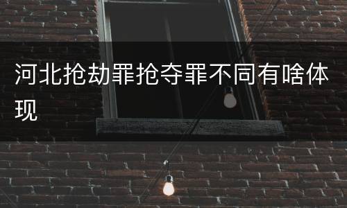 河北抢劫罪抢夺罪不同有啥体现
