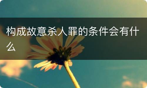 构成故意杀人罪的条件会有什么
