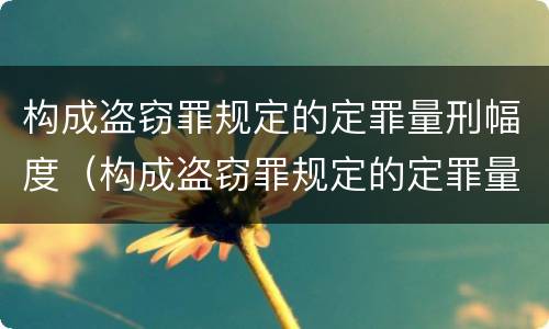 构成盗窃罪规定的定罪量刑幅度（构成盗窃罪规定的定罪量刑幅度是多少）