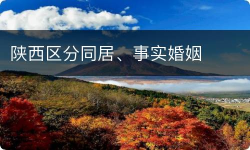 陕西区分同居、事实婚姻