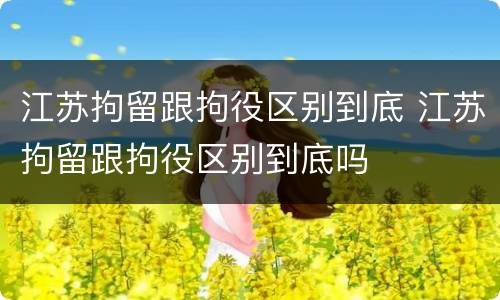 江苏拘留跟拘役区别到底 江苏拘留跟拘役区别到底吗
