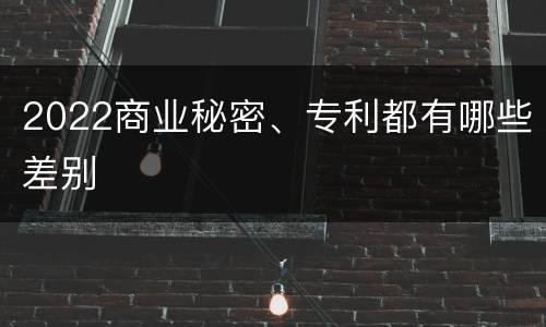 2022商业秘密、专利都有哪些差别