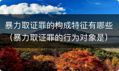 暴力取证罪的构成特征有哪些（暴力取证罪的行为对象是）