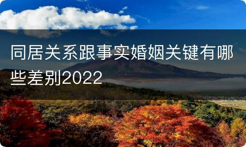 同居关系跟事实婚姻关键有哪些差别2022