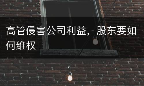 高管侵害公司利益，股东要如何维权