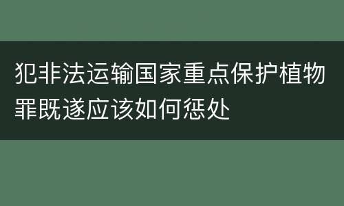 犯非法运输国家重点保护植物罪既遂应该如何惩处