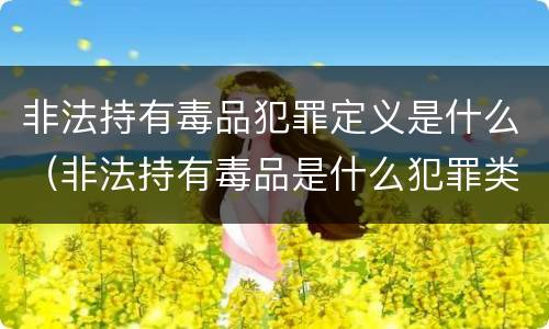 非法持有毒品犯罪定义是什么（非法持有毒品是什么犯罪类型）